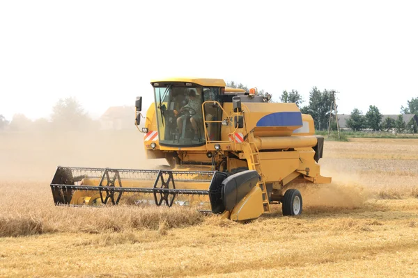 Stock image Corn harvester