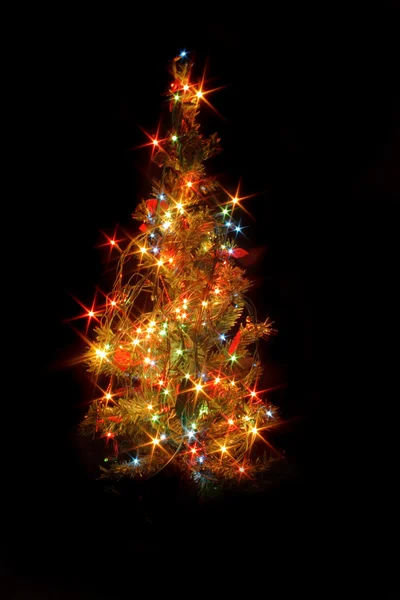 Vánoční strom — Stock fotografie