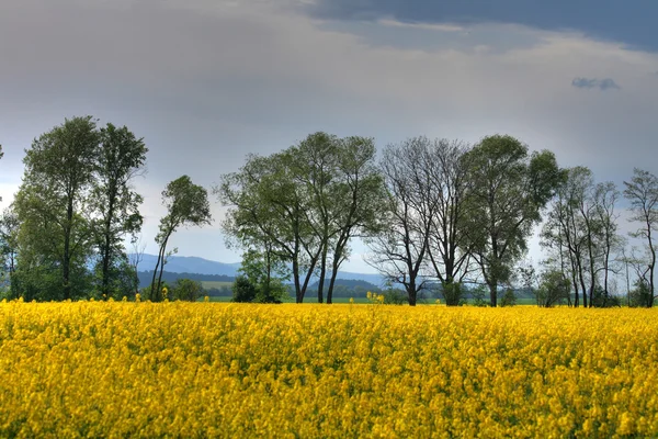 stock image Czech agricultural country