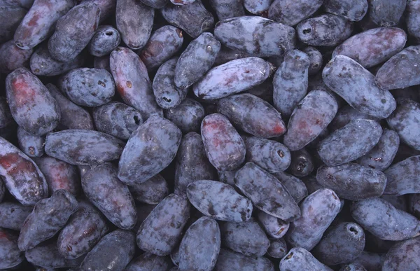 Exotic blueberries — Zdjęcie stockowe