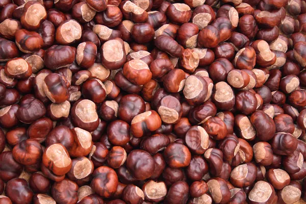 Chestnuts background — Stock Photo, Image