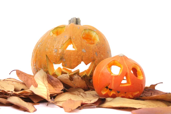 Calabazas de Halloween Fotos de stock libres de derechos