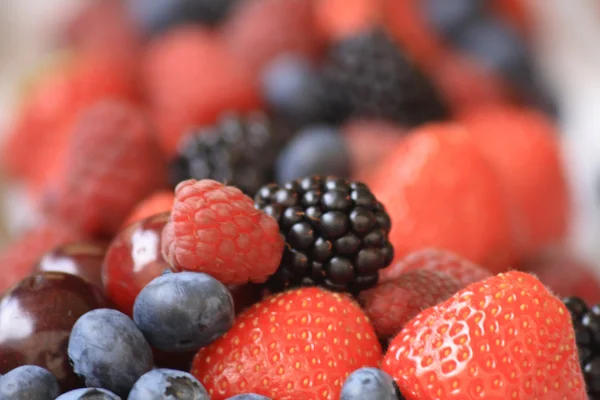 Stock image Forest fruit