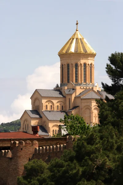 Кафедральному соборі Пресвятої Трійці – Самеба, Tiblisi, Грузія — стокове фото