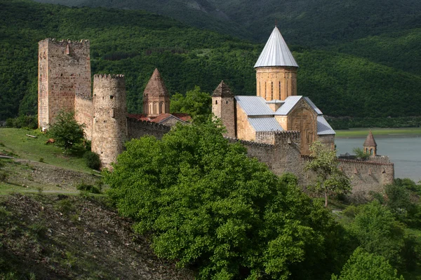 stock image Fortress of Ananuri