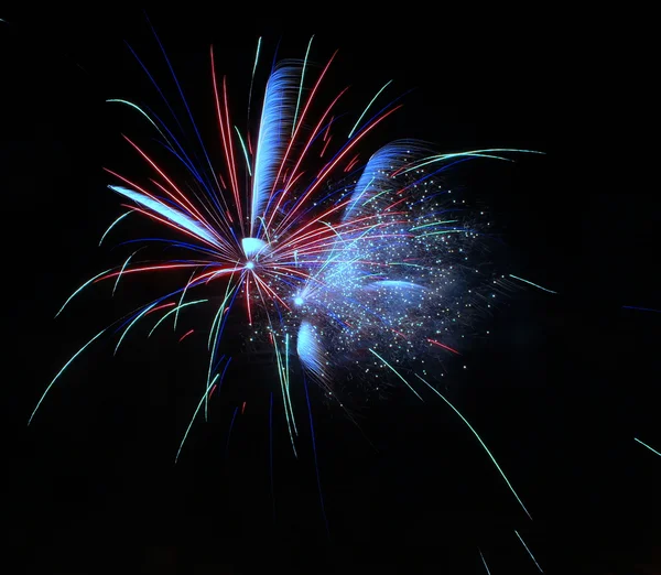 stock image Firework