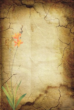 Vintage background with flowers. 28 clipart