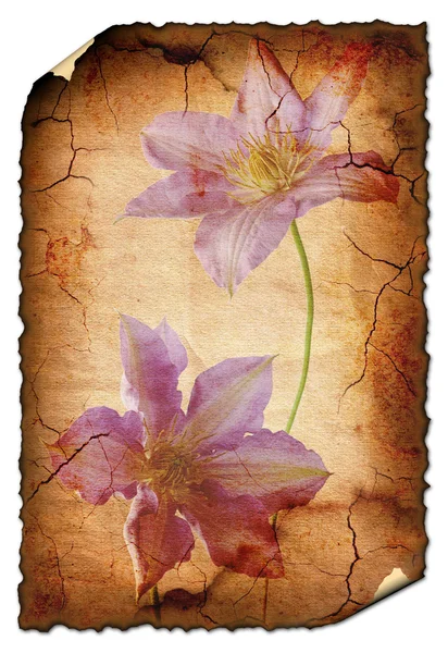Imagem de fundo vintage com flores 22 — Fotografia de Stock