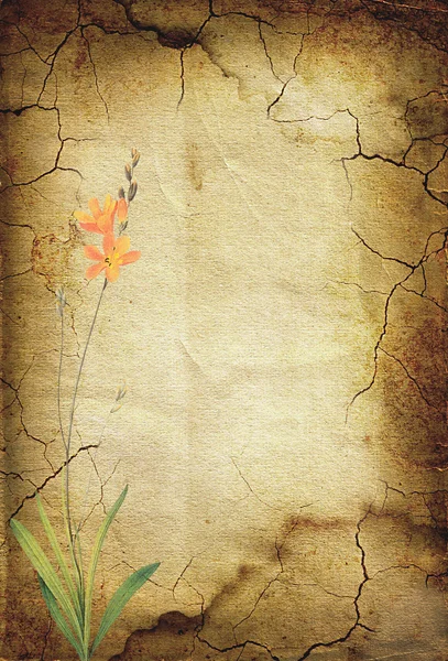 Vintage bakgrund med blommor. 28 — Stockfoto