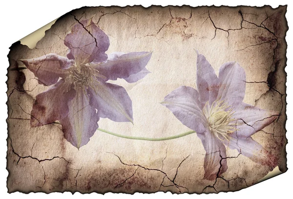 Immagine di sfondo vintage con fiori . — Foto Stock