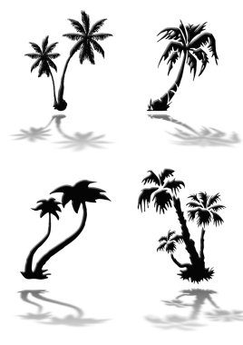ve palmiye ağaçlarının Silhouettes