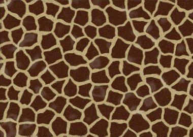 Fur of a giraffe clipart