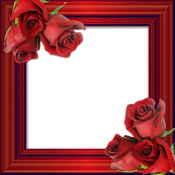 Rosas vermelhas em uma armação vermelha de fotos . — Fotografia de Stock
