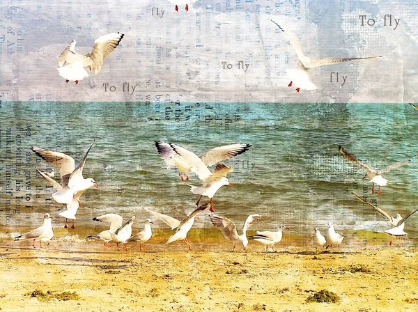 Vlucht van meeuwen over de zee. — Stockfoto
