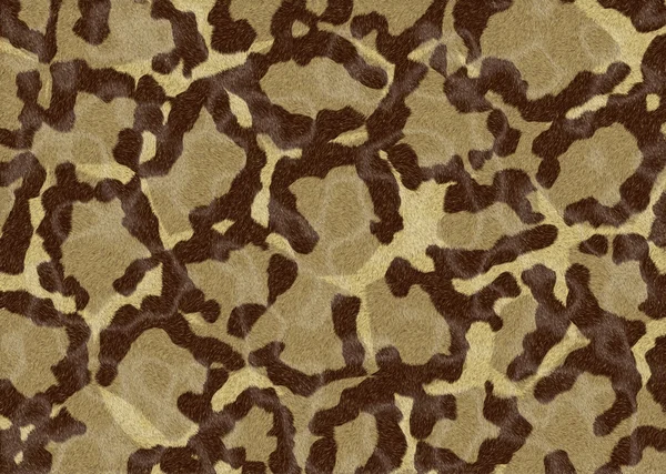 Pele de um leopardo — Fotografia de Stock