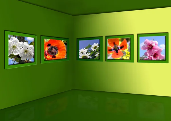 Galeria wiosna kwiatów — Zdjęcie stockowe
