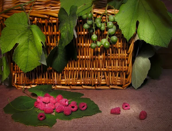 Still-life - a ripe raspberry — Stock Photo, Image