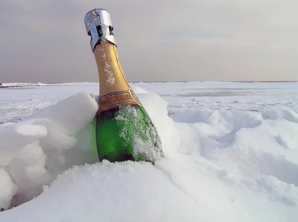 El champán en la nieve Imágenes de stock libres de derechos
