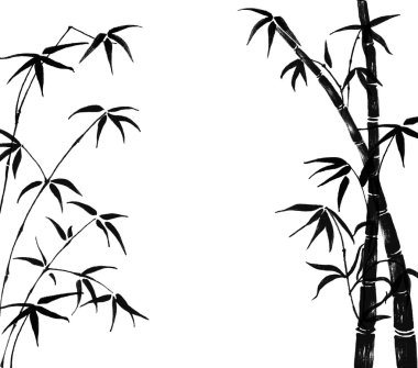 bir bambu dalları