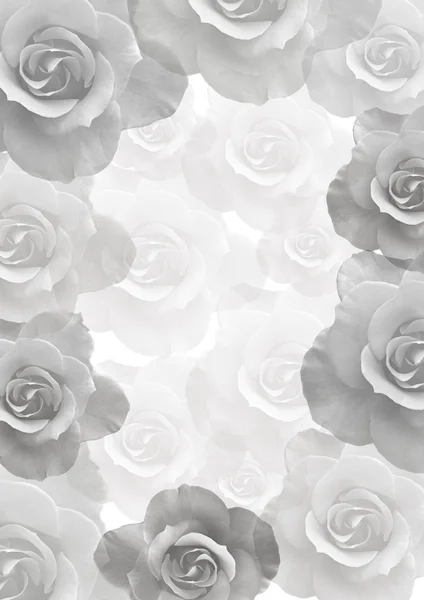 Zachte achtergrond met mooie rozen — Stockfoto