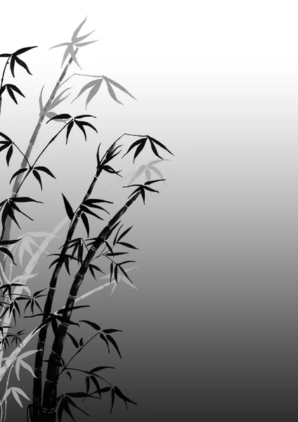 Větve z bambusu — Stockfoto
