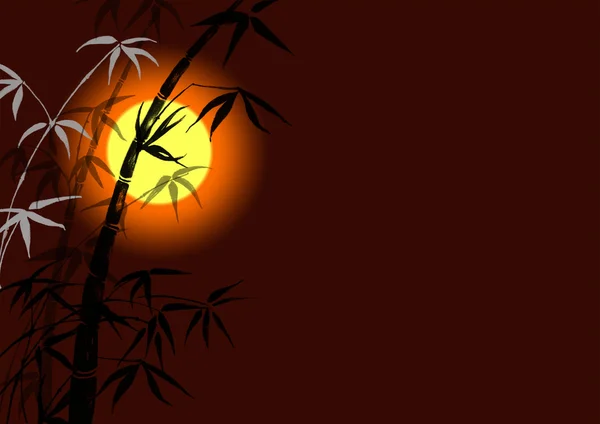 Silhouette des branches d'un bambou — Photo