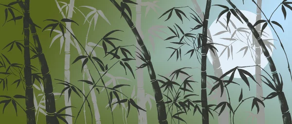 Rami di un bambù — Foto Stock