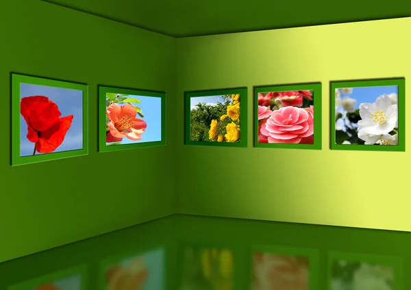 Gallery of flowers. — Stock Photo, Image