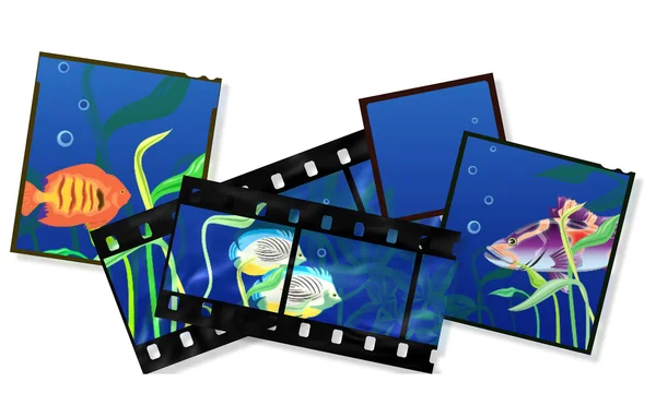 Film med ocean fisk. — Stockfoto