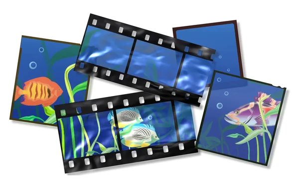 Film med ocean fisk. — Stockfoto