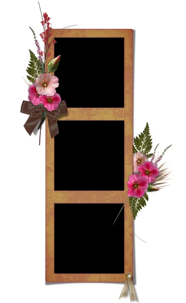 Het frame met een boeket van bloemen hollyhocks. — Stockfoto