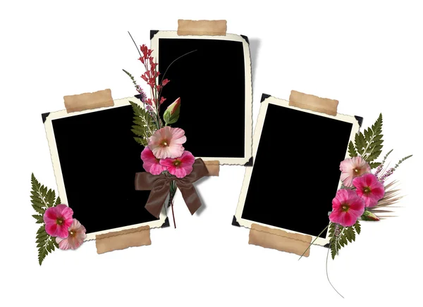 フレームは、タチアオイの花の花束で飾られています。. — ストック写真