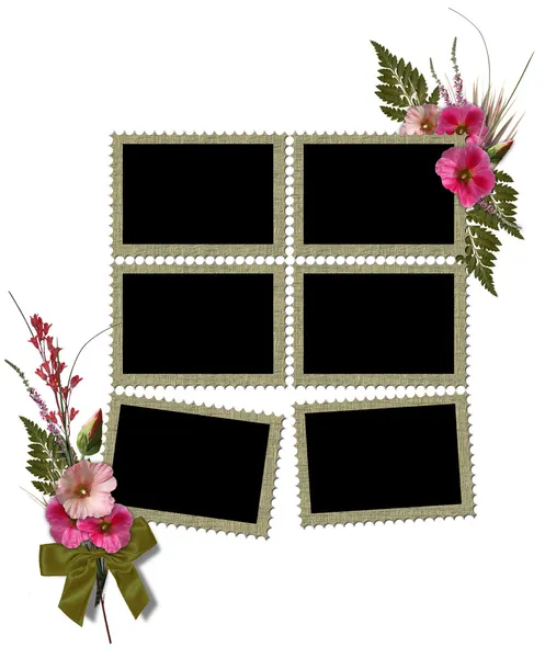 Geïsoleerde frames is ingericht voor bloemen hollyhocks. — Stockfoto