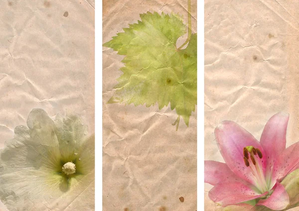 Mooie banners met florale elementen — Stockfoto