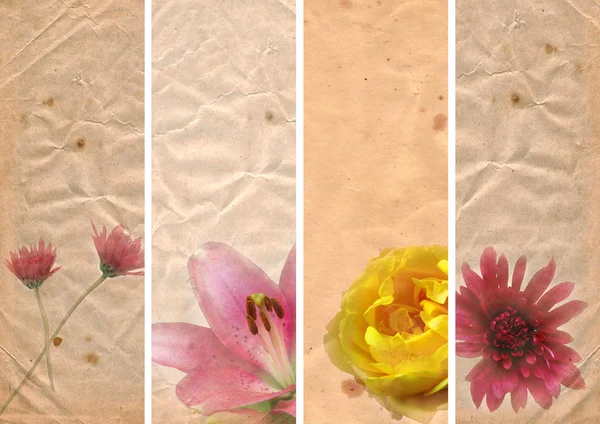 Lovely banners with floral elements — Stock Photo, Image