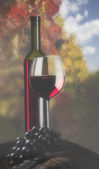 láhev vína se sklem a vinice