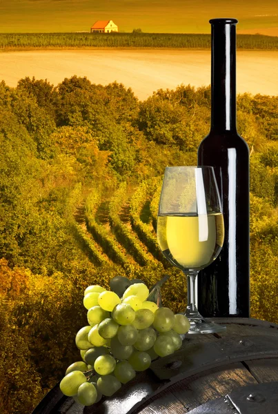 Бутылка виноградника на заднем плане — стоковое фото