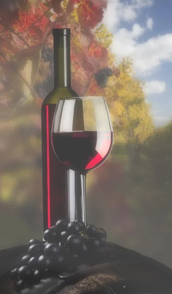 Το μπουκάλι κρασιού με γυαλί και αμπελώνες — Φωτογραφία Αρχείου