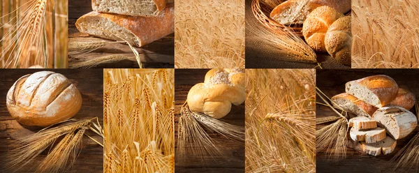 Puzzle avec pain, champs et épillets — Photo