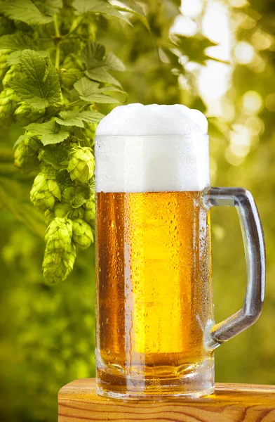 Fıçı bira ile natürmort — Stok fotoğraf