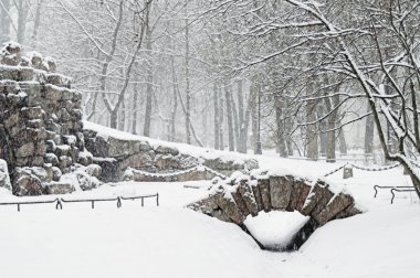 Kar yağışıweather condition