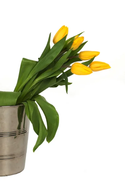 stock image Yellow tulip bouquet isolated on white