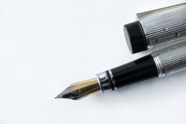 Dolma kalem ve günlüğü