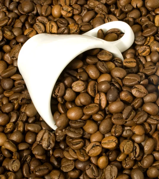 Koffiekopje — Stockfoto