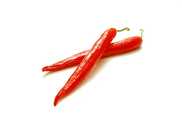 Červené chilli, samostatný — Stock fotografie