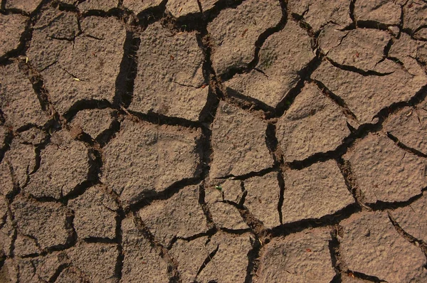 Dry soil — Stock Photo, Image