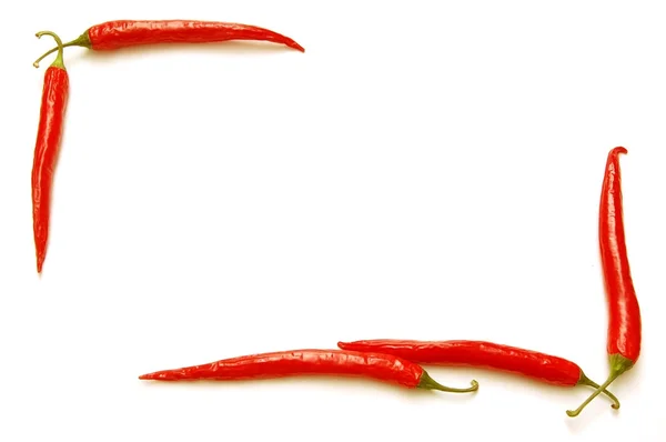 Rama chili czerwony na białym tle — Zdjęcie stockowe