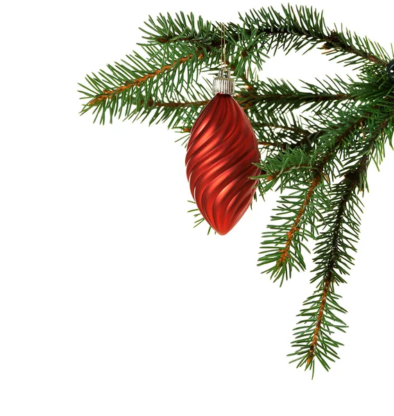 Красный шар на елке — стоковое фото