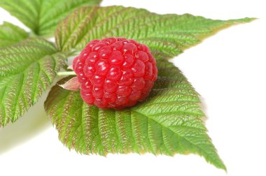 Raspberry clipart