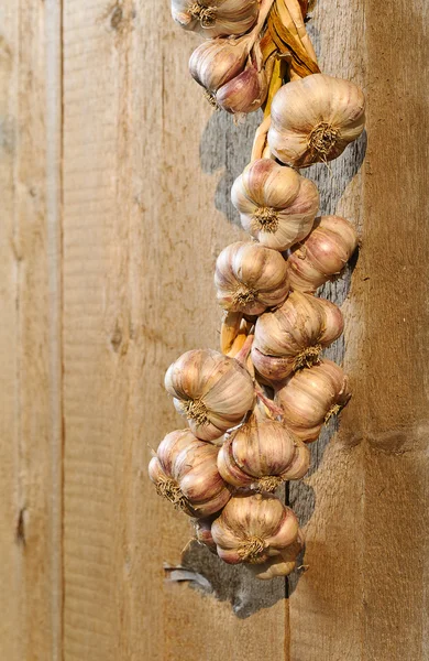Σκόρδο σε τοίχων από ξύλο — Φωτογραφία Αρχείου